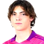 Никола Čавлина