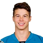 Николай Голдобин