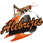 Alebrijes Де Оахака