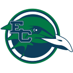 Эндикотт Чайки