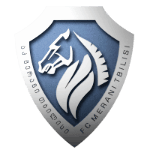 Мерани Тбилиси ИИ