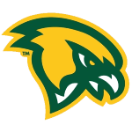 Фитчбург Сокол