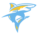 Мяч Long Island Sharks