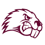 Мейн-Фармингтон Бобров