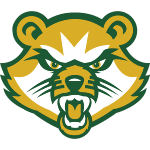 Мяч St. Vincent Bearcats